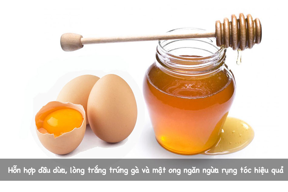 Hỗn hợp dầu dừa, lòng trắng trứng gà và mật ong ngăn ngừa rụng tóc hiệu quả